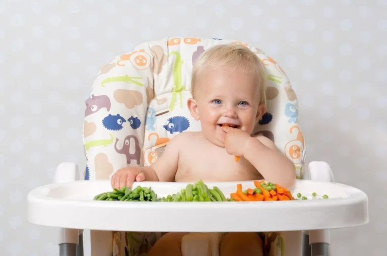 BLW (Baby led weaning) o Alimentación autoregulada por el bebé