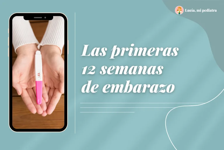 Las primeras 12 semanas de embarazo